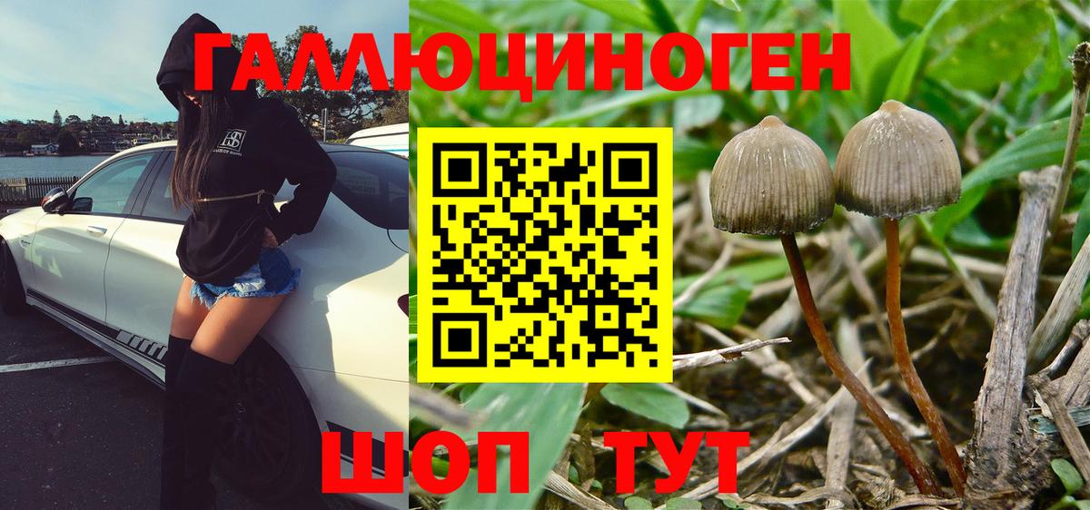 Галлюциногенные грибы MAGIC MUSHROOMS  Вход с VPN  Галлюциногенные грибы мухоморы  Кулебаки 