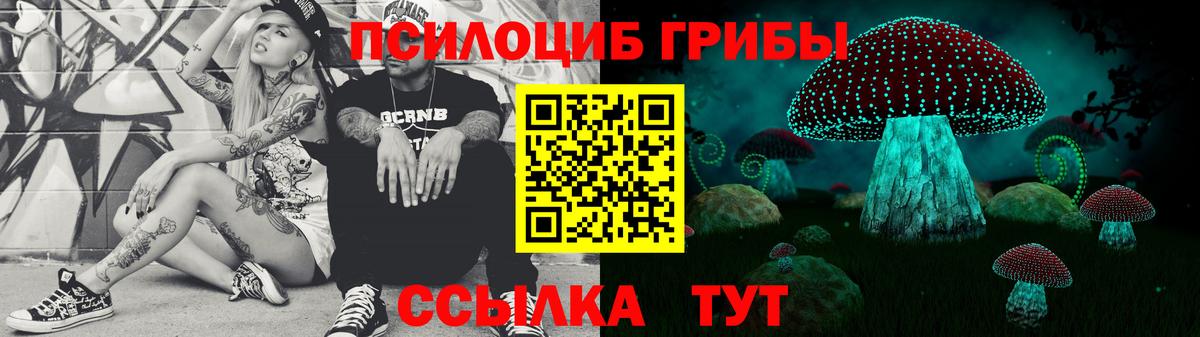 Галлюциногенные грибы Cubensis Кулебаки